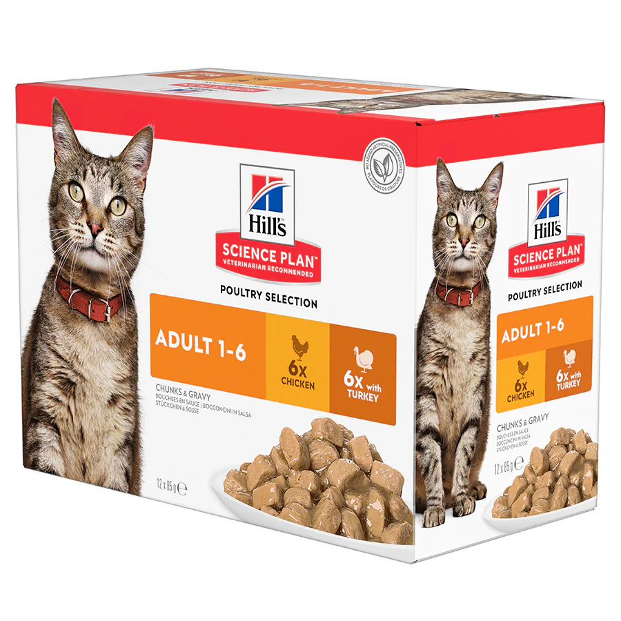 Cat Sale Products
