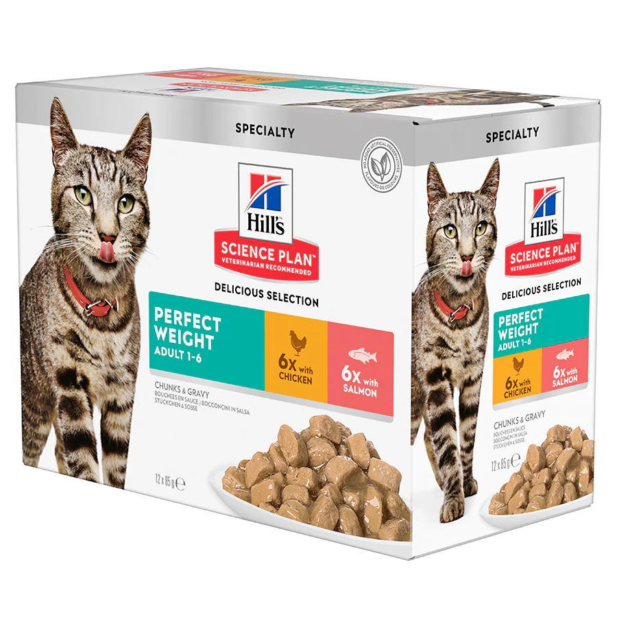 Cat Food Sale